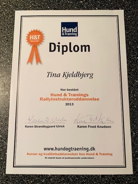 Eksamineret rally-instruktør